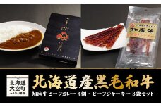 北海道産黒毛和牛知床牛ビーフカレー4個・ビーフジャーキー3袋セット 【 ふるさと納税 人気 おすすめ ランキング 牛肉 牛 肉 ビーフカレー カレー カレーライス ご飯 ビーフジャーキー ジャーキー おつまみ 北海道 大空町 送料無料 】 OSG002