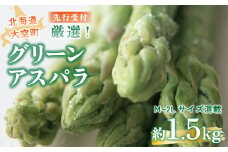【先行受付】厳選！グリーンアスパラ1.5kg（M～2Lサイズ混載） 【 ふるさと納税 人気 おすすめ ランキング アスパラ アスパラガス グリーンアスパラ 春野菜 野菜 旬 北海道 大空町 送料無料 】 OSA013