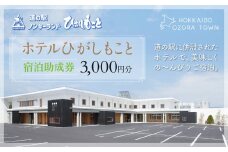 ホテルひがしもこと 宿泊助成券(3,000円分) 【 ふるさと納税 人気 おすすめ ランキング 宿泊助成券 宿泊 チケット 観光 旅行 温泉 北海道 大空町 送料無料 】 OSV001