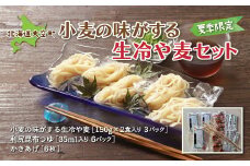 「小麦の味がする」生冷や麦セット（夏季限定）150g２食入り３パック 【 ふるさと納税 人気 おすすめ ランキング 冷や麦 ひやむぎ セット つゆ かき揚げ 麺 北海道 大空町 送料無料 】 OSR007