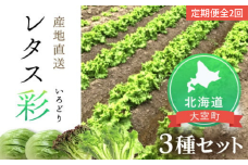 【定期便】レタス彩(いろどり)3種セット全2回（2025年9月より順次発送）【 ふるさと納税 人気 おすすめ ランキング レタス れたす 野菜 葉野菜 定期配送 定期便 北海道 大空町 送料無料 】 OSU002