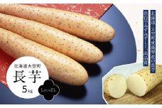長芋5kg（Lまたは2L） 【 ふるさと納税 人気 おすすめ ランキング ながいも 長芋 ながいも いも 芋 北海道 大空町 送料無料 】 OSM007