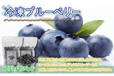 冷凍ブルーベリー500g×2パック【 ふるさと納税 人気 おすすめ ランキング ブルーベリー 果実 果物 フルーツ ヨーグルト ジャム スムージー 冷凍 北海道 大空町 送料無料 】 OSO006