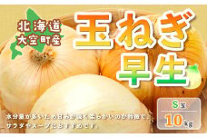 【先行受付】北海道大空町産　玉ねぎ（早生）10ｋｇ 【 ふるさと納税 人気 おすすめ ランキング たまねぎ 玉ねぎ 甘い カレー 野菜 旬 北海道 大空町 送料無料 】 OSA027