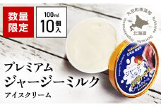 プレミアムジャージーミルクアイスクリーム 【 ふるさと納税 人気 おすすめ ランキング あいす アイス ミルク ジャージー 濃厚 北海道 大空町 送料無料 】 OSX001