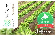 【先行予約】レタス彩（いろどり）3種セット（2025年9月より順次発送） 【 ふるさと納税 人気 おすすめ ランキング レタス れたす サラダ 野菜 新鮮 結球 リーフレタス サニーレタス 葉野菜 北海道 大空町 送料無料 】 OSU003