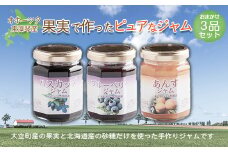 オホーツク東藻琴産の果実で作ったピュアなジャム3品セット 【 ふるさと納税 人気 おすすめ ランキング ジャム ハスカップ すもも うめ プルーン あんず ブルーベリー カシス ヨーグルト パン ケーキ 料理 ソース 朝食 加工品 北海道 大空町 送料無料 】 OSK002