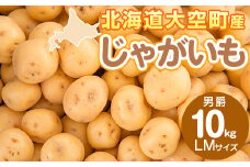 じゃがいも(男爵) LMサイズ 10kg 大空町産 【 ふるさと納税 人気 おすすめ ランキング じゃがいも ジャガイモ いも 芋 男爵 10kg LM サイズ カレー 北海道産 野菜 旬 北海道 大空町 送料無料 】 OSR012