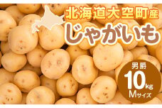 じゃがいも(男爵) Mサイズ 10kg 大空町産 【 ふるさと納税 人気 おすすめ ランキング じゃがいも ジャガイモ いも 芋 男爵 10kg M サイズ カレー 北海道産 野菜 旬 北海道 大空町 送料無料 】 OSR013