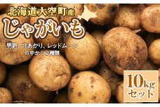 【数量限定】北海道産 じゃがいも 10kgセット 及び(込み玉、土付き) 【 ふるさと納税 人気 おすすめ ランキング じゃがいも ジャガイモ いも 芋 男爵 北あかり レッドムーン から 2種類 10kg カレー 北海道産 野菜 旬 北海道 大空町 送料無料 】 OSAA001