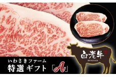 いわさきファーム白老牛　特選ギフト「Ａ」セット