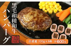 白老産 黒毛和牛ハンバーグ