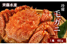 大サイズ！冷凍毛がに約650g×1尾【斉藤水産】