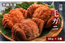 大サイズ！冷凍毛がに約650g×3尾【斉藤水産】