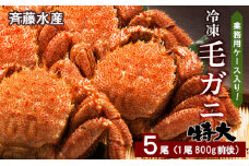 業務用ケース入り！冷凍毛がに 特大サイズ 5尾（1尾800g前後）