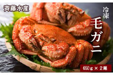大サイズ！冷凍毛がに約650g×2尾【斉藤水産】