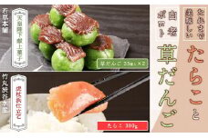 たれまで美味しいたらこ(300g)と天皇陛下献上菓子 白老ポロト草だんご(３５個入)×2セット 