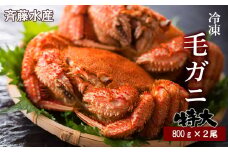 特大サイズ！冷凍毛がに約800g×2尾【斉藤水産】