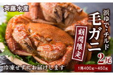 ★期間限定★ 浜ゆで！毛ガニ 約400g～450g×2尾 チルド配送 7/17~7/30発送【斉藤水産】 北海道 冷蔵 チルド 毛蟹 カニ かに 白老 前浜