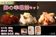 北海道産 海の幸堪能セット ～ 訳ありイクラ 100g・マツブ150g ・毛ガニむき身150g ～ 