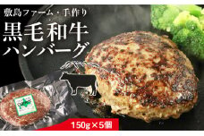 大人気！黒毛和牛手作りハンバーグセット≪敷島ファーム≫ 