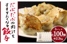 だぶだぶの肉汁をすすりたくなる餃子 100個（20個入×5パック）