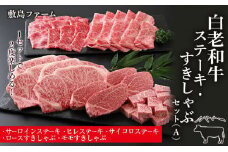 白老和牛ステーキ・すきしゃぶセット（A）《敷島ファーム》