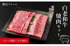 白老和牛焼肉セット《敷島ファーム》