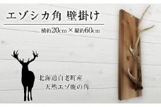 エゾシカ角 壁掛け（横約20cm×縦約60㎝）