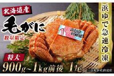 【特大】 北海道産 冷凍ボイル 毛ガニ (900g-1kg前後) 1尾 蟹 かに カニ 毛ガニ