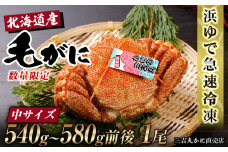 【中サイズ】北海道産 冷凍ボイル毛ガニ (540g-580g前後) 1尾 