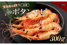 甘みたっぷり冷凍ボタンエビ（300ｇ）