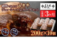 定期便3カ月 お楽しみ 白老牛 ジューシー ハンバーグ セット 10個 網脂 特製ソース 手造り 手ごね