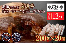 定期便12カ月 お楽しみ 白老牛 ジューシー ハンバーグ セット 20個 網脂 特製ソース 手造り 手ごね