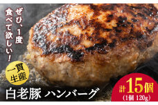 北海道産 白老豚 ハンバーグ 120ｇ×15個セット