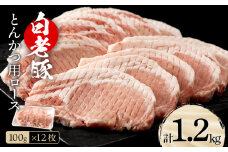 北海道産 白老豚 ロース とんかつ用 100g×12枚