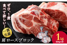 北海道産 白老豚 肩ロース ブロック 500g×2パック 