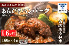 定期便 6カ月 和牛 粗びき 生 ハンバーグ 4個セット デミグラスソース付き 160ｇ×4袋