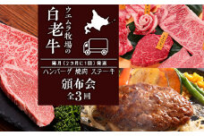 定期便 頒布会 全3回 お楽しみ 白老牛 ハンバーグ 焼肉 ステーキ ウエムラ牧場 