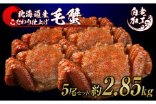 毛蟹 ボイル済み 冷凍 5尾セット 約2.85kg 