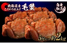 毛蟹 ボイル済み 冷凍 5尾セット 約2kg