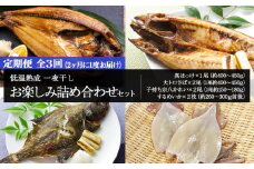 2ヶ月に1度 定期便 全3回 低温熟成 一夜干し お楽しみ 詰め合わせ