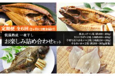 2ヶ月に1度 定期便 全6回 低温熟成 一夜干し お楽しみ 詰め合わせ