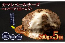 北海道産 白老牛 カマンベールチーズハンバーグ 5個セット 冷凍 チーズ イン ハンバーグ