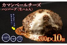 北海道産 白老牛 カマンベールチーズハンバーグ 10個セット 冷凍 チーズ イン ハンバーグ