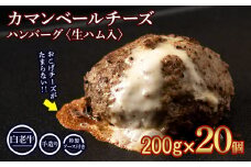 北海道産 白老牛 カマンベールチーズハンバーグ 20個セット 冷凍 チーズ イン ハンバーグ