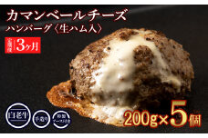 定期便３ヵ月 お楽しみ 北海道産 白老牛 カマンベールチーズハンバーグ 5個セット 冷凍 チーズ イン ハンバーグ