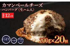 定期便12ヵ月 お楽しみ 北海道産 白老牛 カマンベールチーズハンバーグ 20個セット 冷凍 チーズ イン ハンバーグ