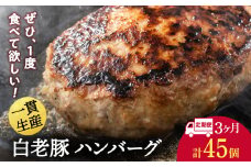 【定期便 3カ月】 北海道産 白老豚 ハンバーグ 120ｇ×15個 セット 冷凍 洋食 おかず