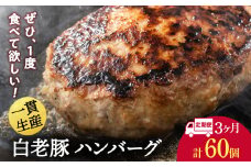 【定期便 3カ月】 北海道産 白老豚 ハンバーグ 120ｇ×20個 セット 冷凍 洋食 おかず